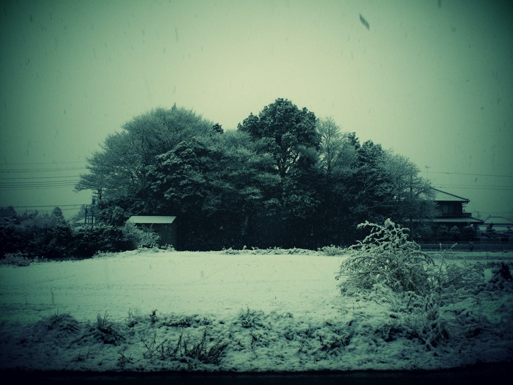 雪化粧