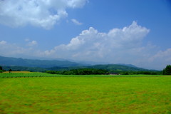 IMGP8427