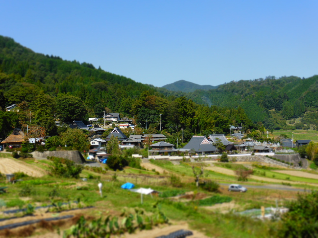 能勢の長谷の棚田