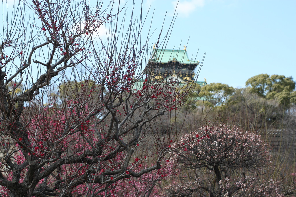 梅と城