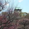 梅と城