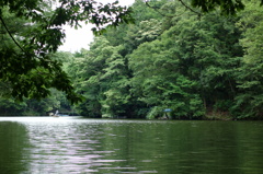 震生湖