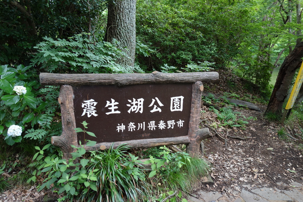 震生湖公園