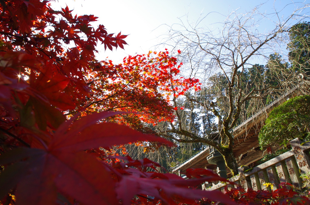 最乗寺001