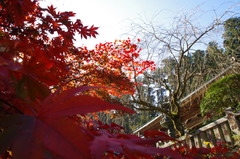 最乗寺001