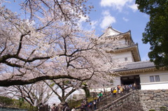 小田原城天守閣