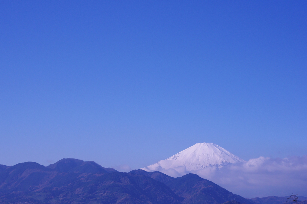 富士山