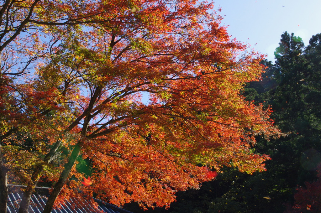 最乗寺003