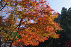 最乗寺003