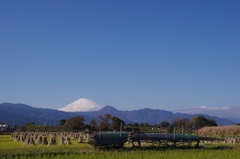 田舎風味