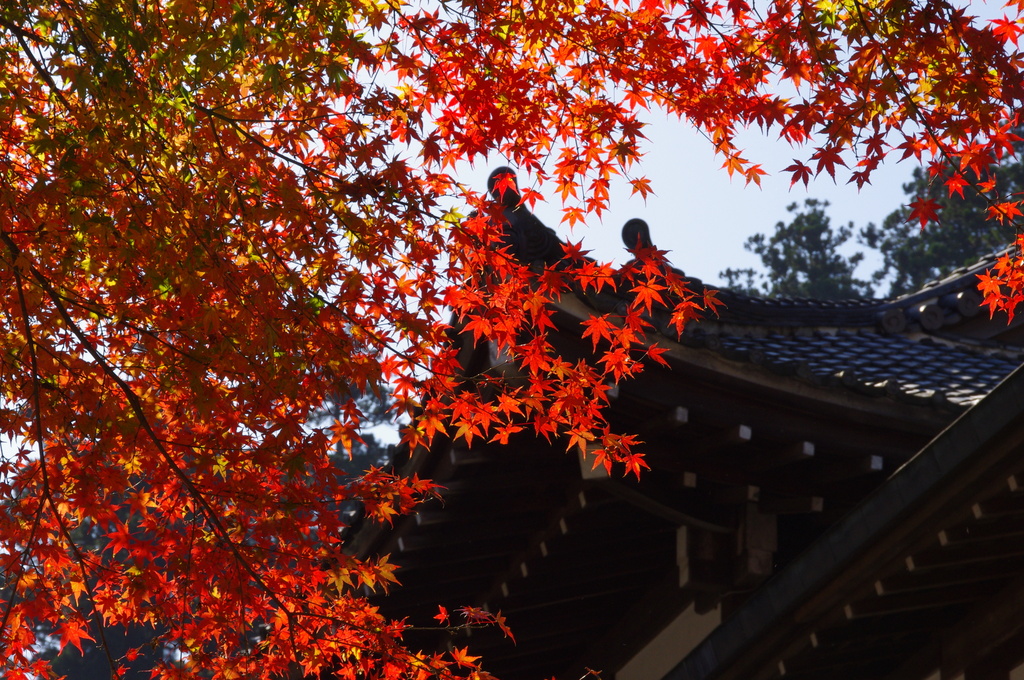 最乗寺004