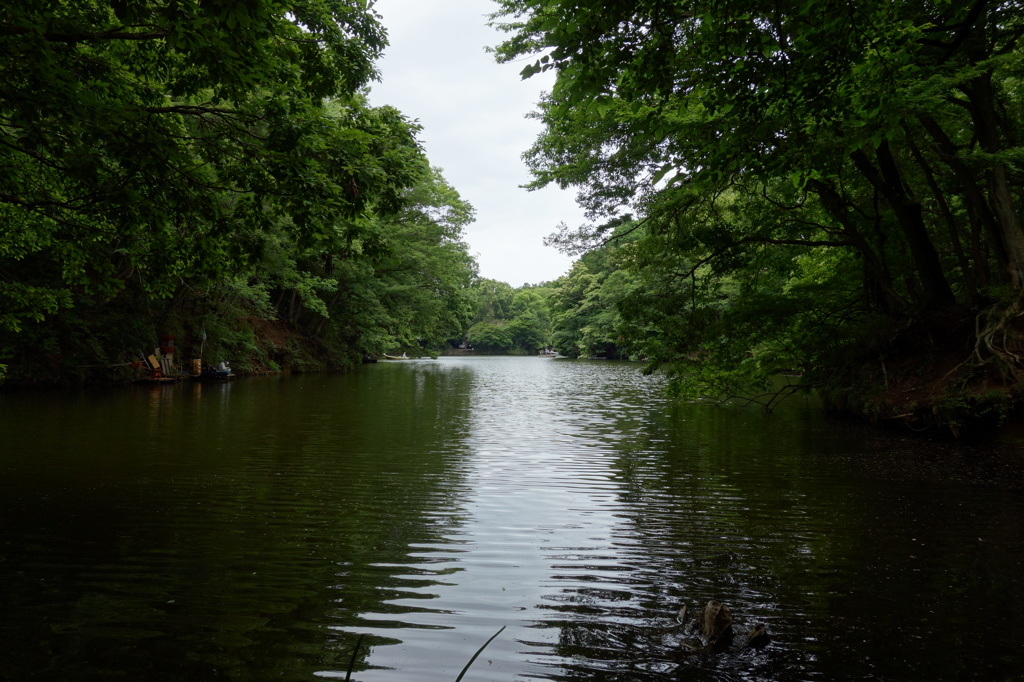 震生湖