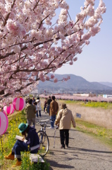 祭りにて