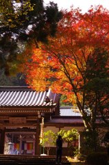 最乗寺の最上の紅葉