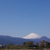 田圃