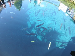 まるで海のような