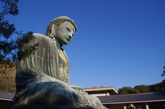 鎌倉大仏