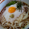 冷やしとろろうどん