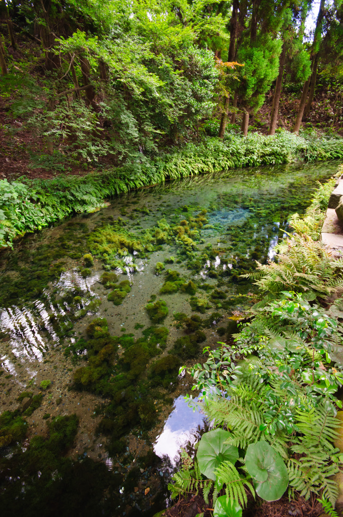 大地の水