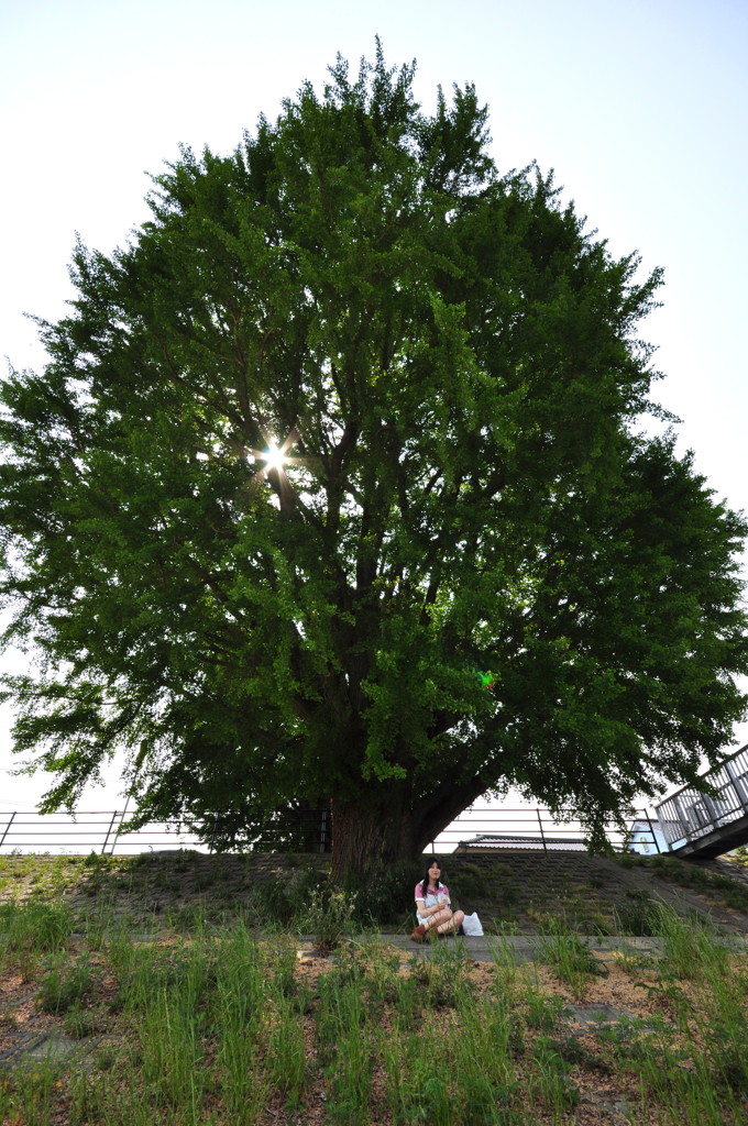 二つの星