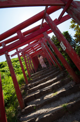 夏の思い出
