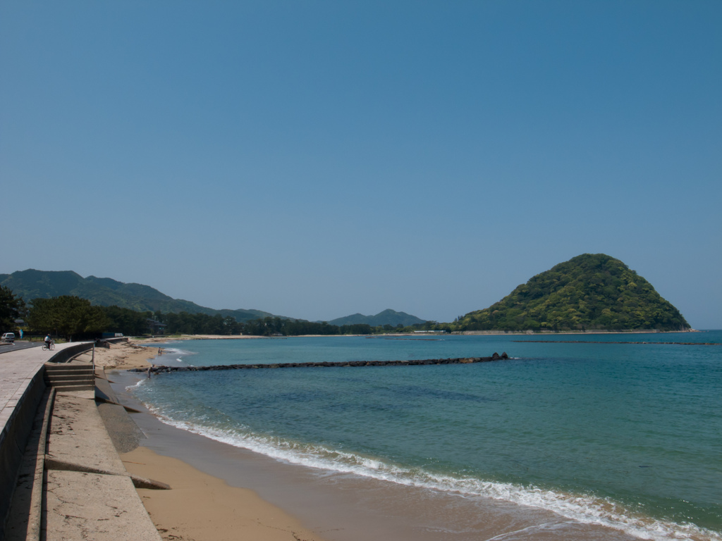 萩の海