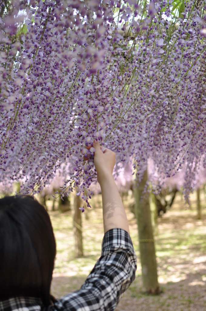 落ちないで～。