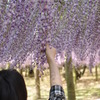 落ちないで～。