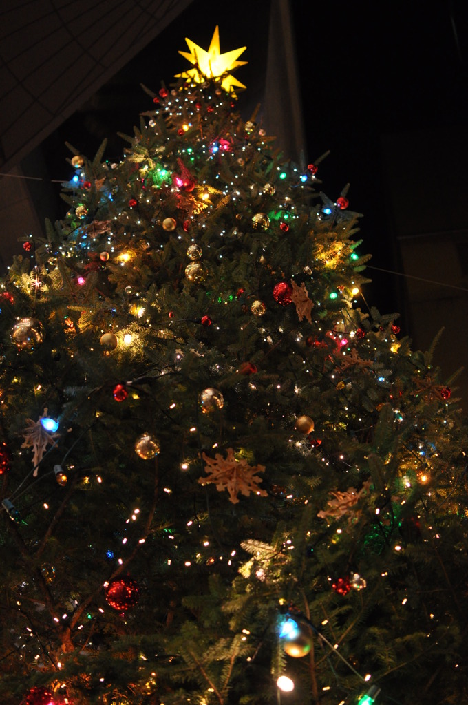 クリスマスツリー