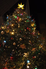 クリスマスツリー
