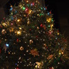 クリスマスツリー
