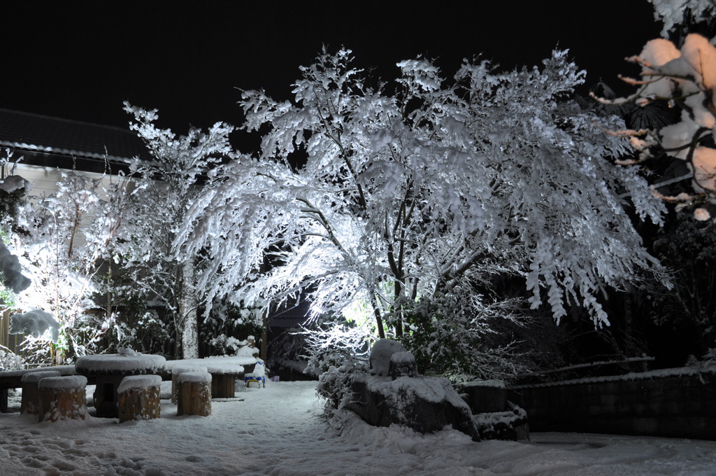 最後の雪