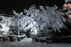 最後の雪