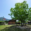 ある家族の休日。