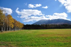 101029八幡平森の大橋など8