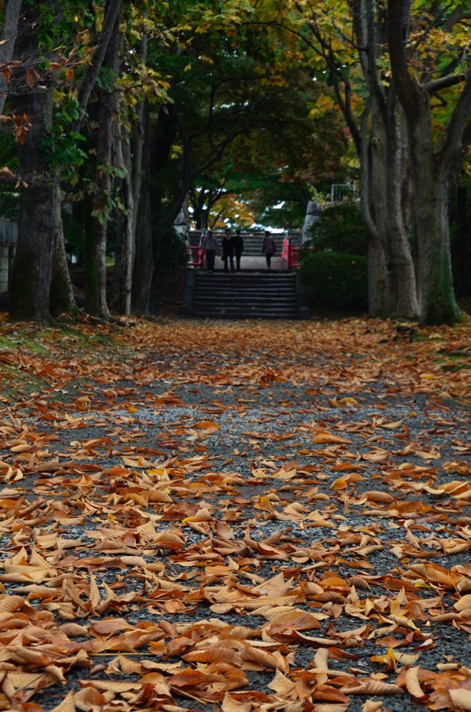 111023盛岡城跡公園 (7)