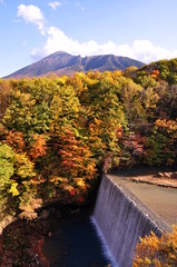 八幡平森の大橋 (1)