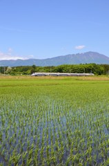 110616秋田新幹線こまち