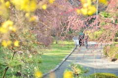 100502盛岡城跡公園11