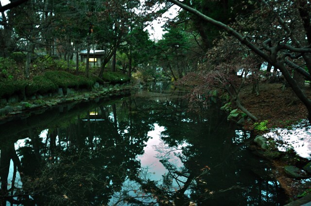 091122盛岡城跡公園4