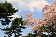 平泉10
