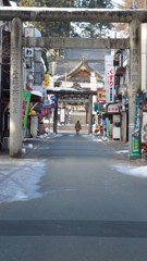 110213内丸緑地08