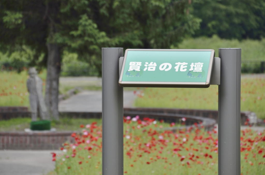 150608御所湖広域公園ファミリーランド　賢治の花壇　ポピー