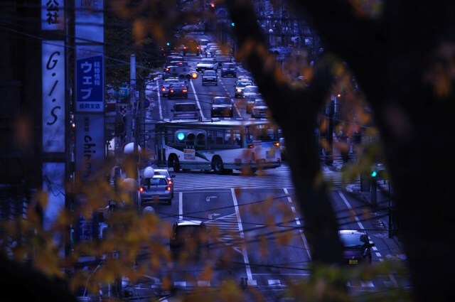 091122盛岡城跡公園1