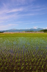 110616秋田新幹線こまち
