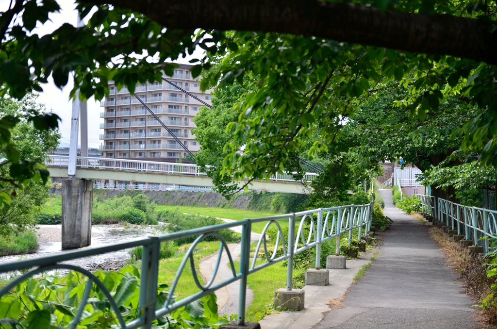 110609盛岡市内 川沿いの道