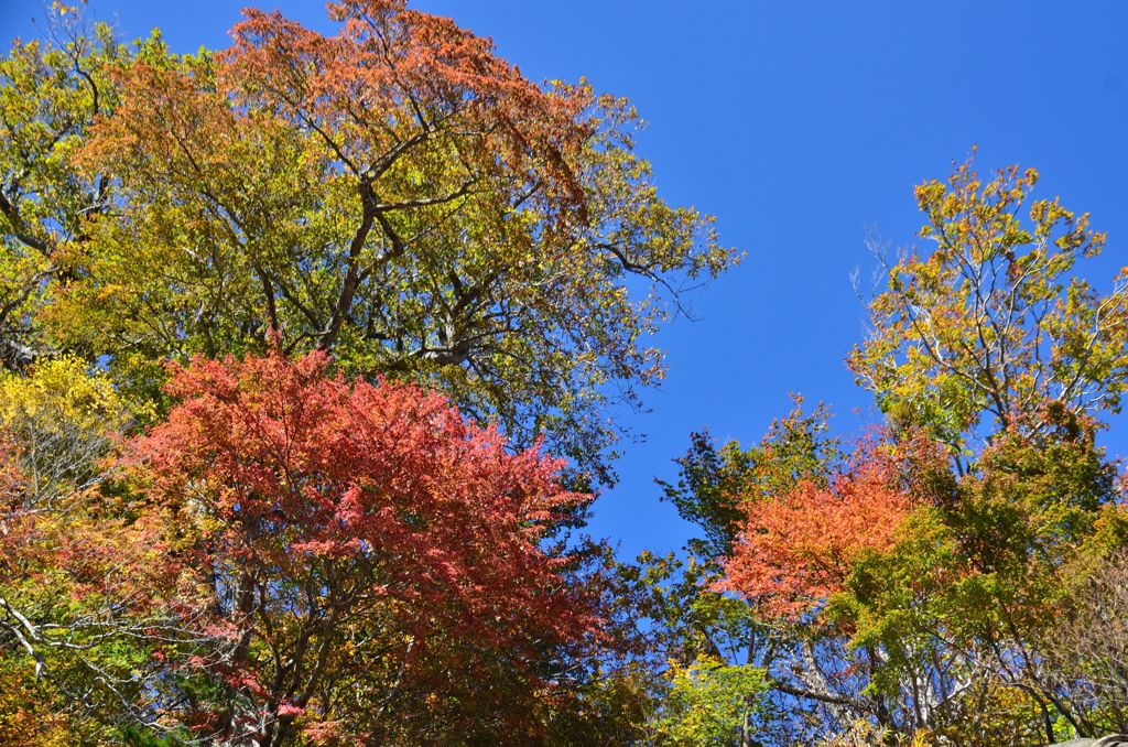 111020夏油高原６