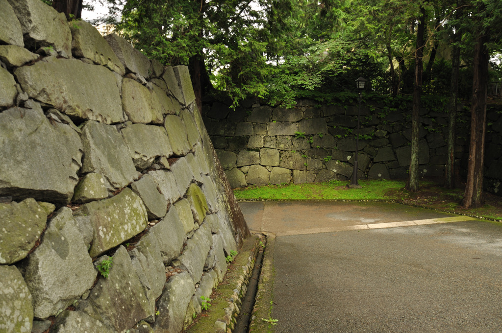 100715盛岡城跡公園 (3)