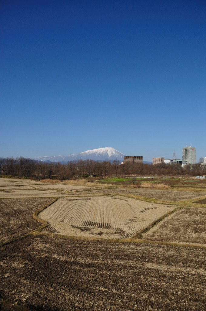 岩手山と冬の田畑