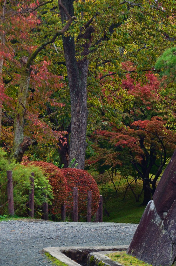 111023盛岡城跡公園 (9)